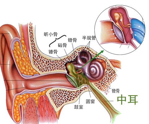 中耳乳突炎3.jpg